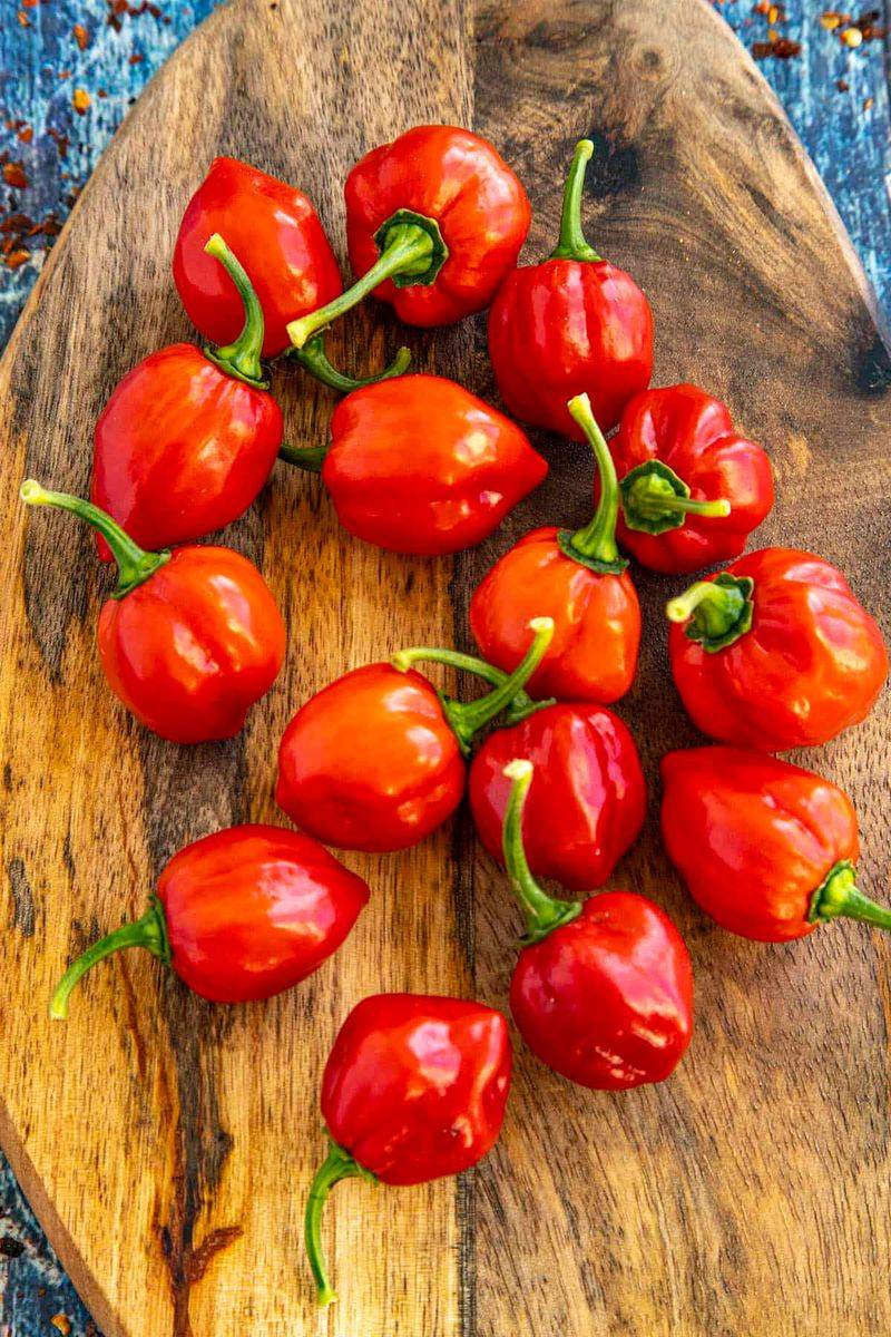 Habanero Pepper: Fiery, Fearless, and Surprisingly Nutritious