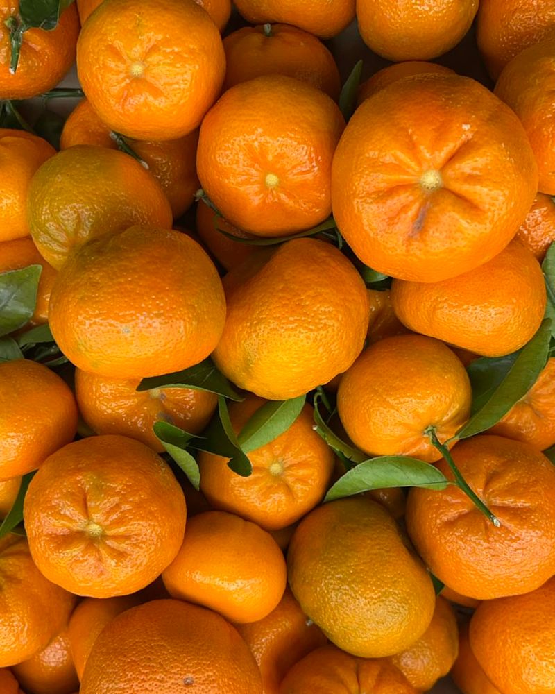 Tangerines, Mandarins, And Clementines