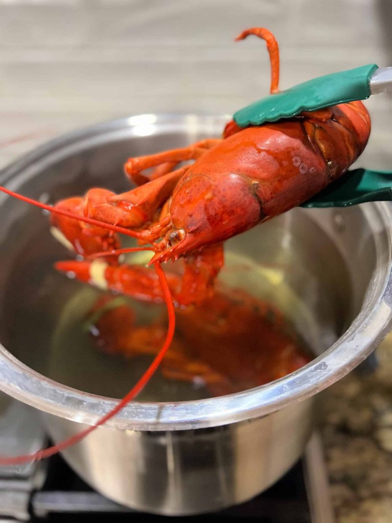 Buying lobster without a cooking plan