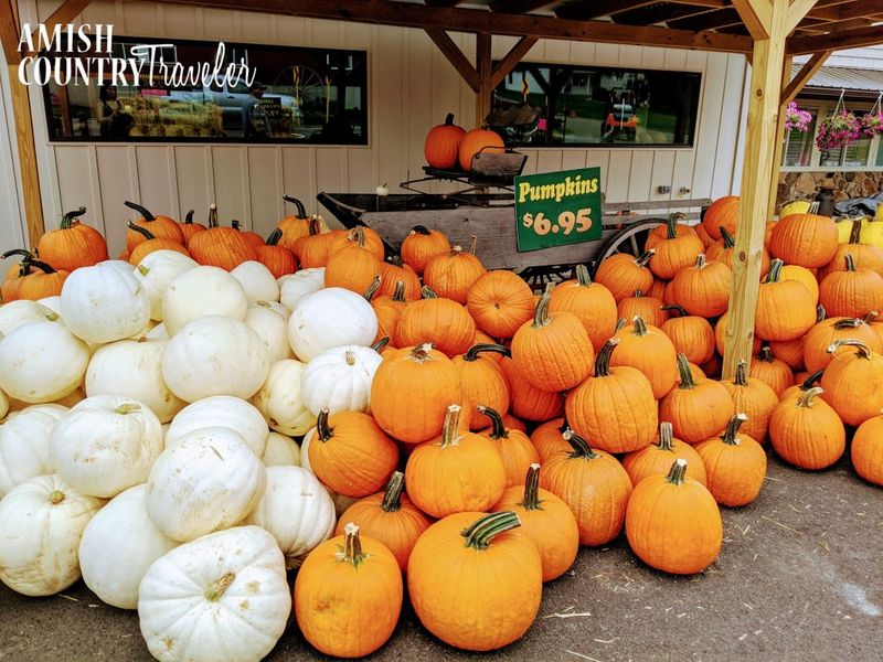 Seasonal Farm Produce Market