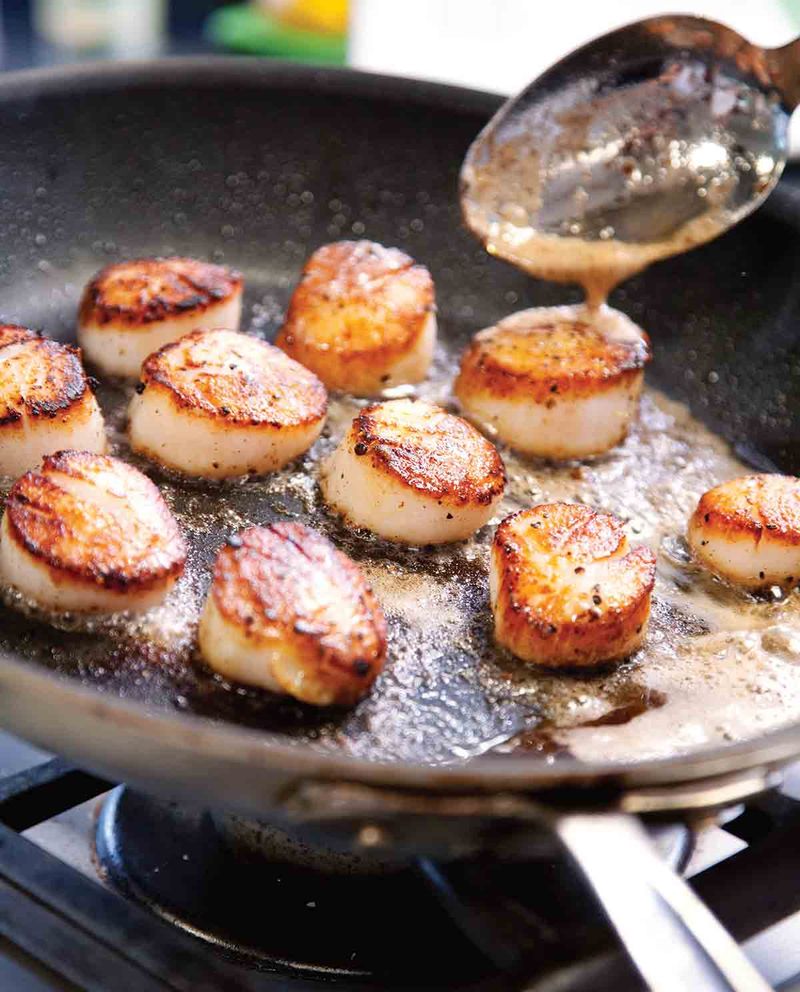 Scallops