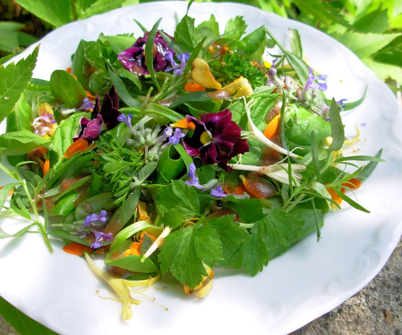 “Salads” made from herbs and flowers