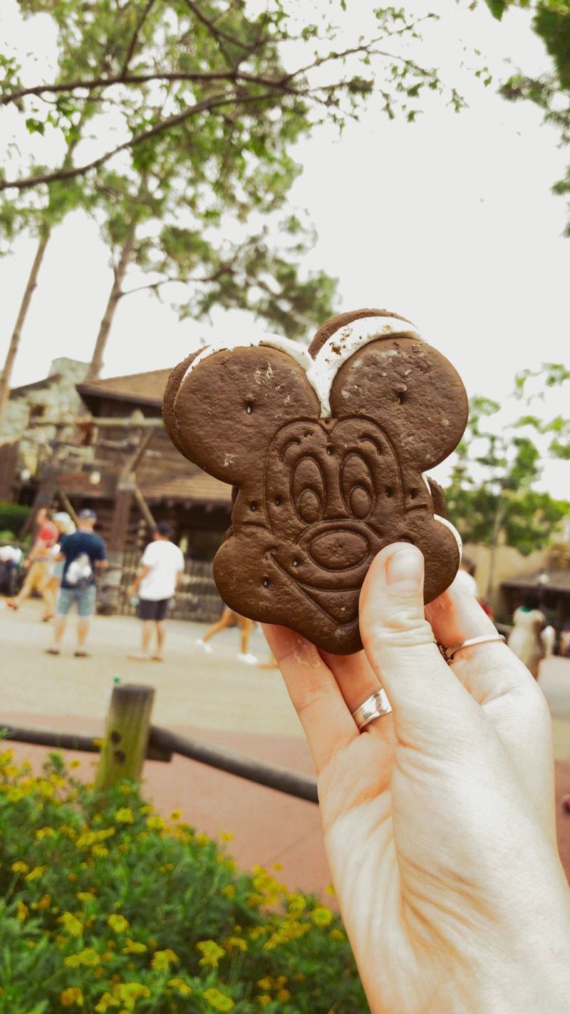 Mickey Macaron Ice Cream Sandwich