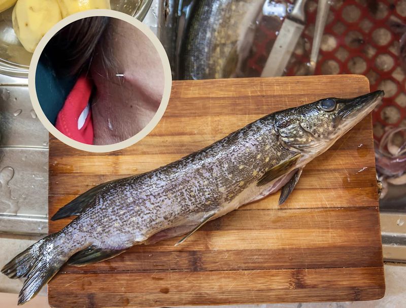 Whole Fish With Bones