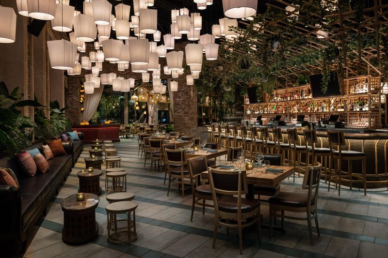 Lotus of Siam - Nevada