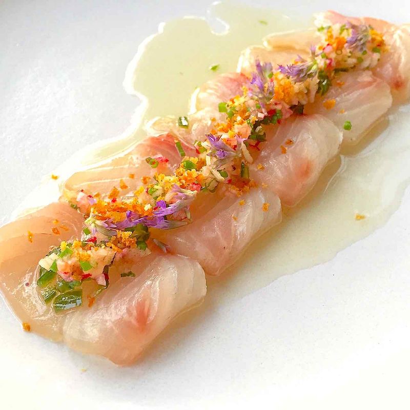 Kampachi (Amberjack)