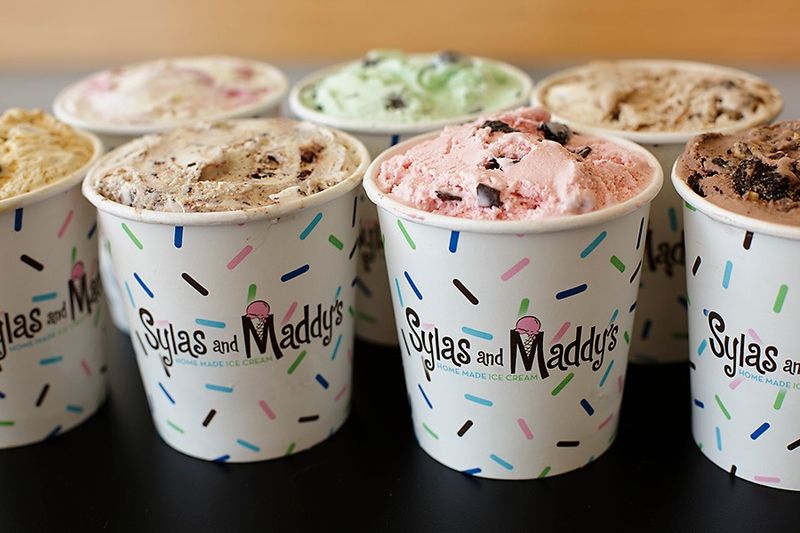 Sylas and Maddy's Homemade Ice Cream (Kansas)