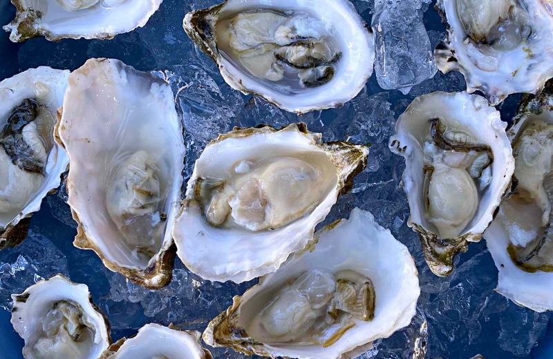 Tomales Bay Oysters On The Half Shell