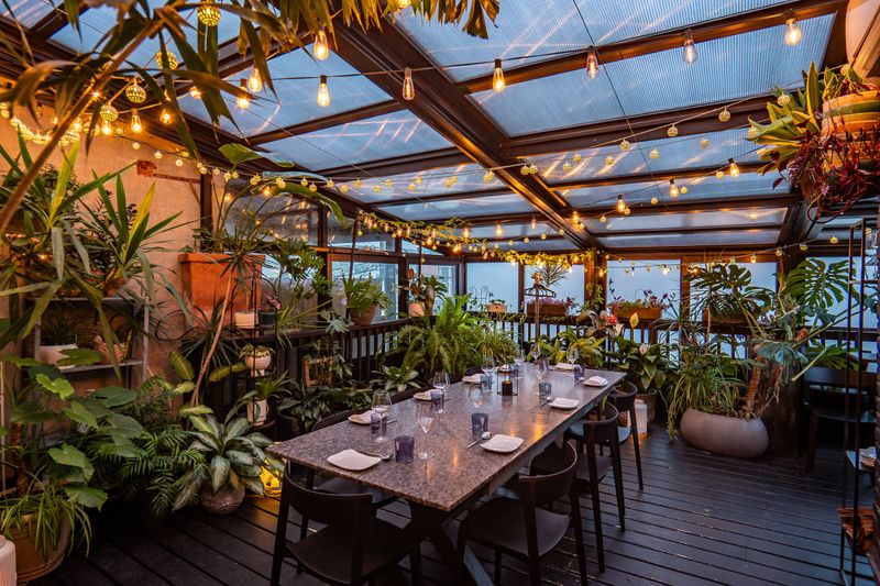 Rose's Luxury: Capitol Hill's Crown Jewel