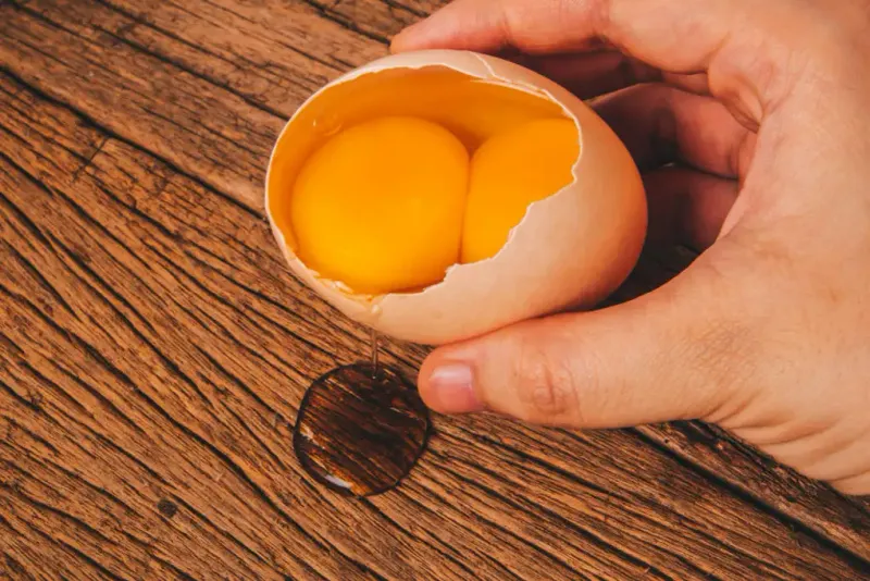 Myth 10: Double-yolk eggs are genetically modified
