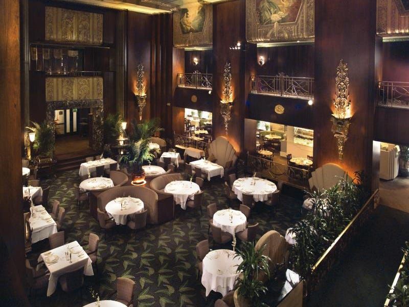 Orchids at Palm Court (Ohio)