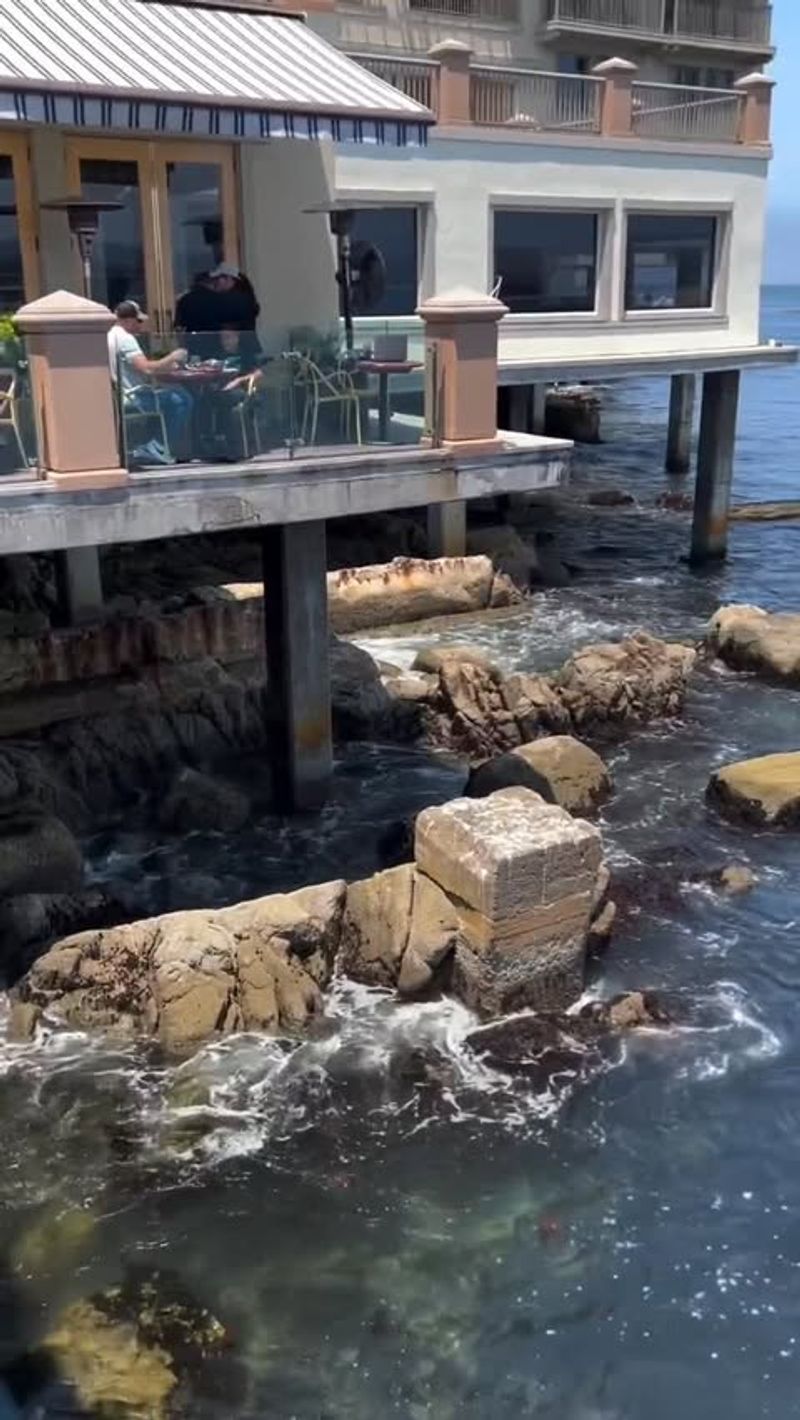 Hidden Hearth Cannery, Monterey