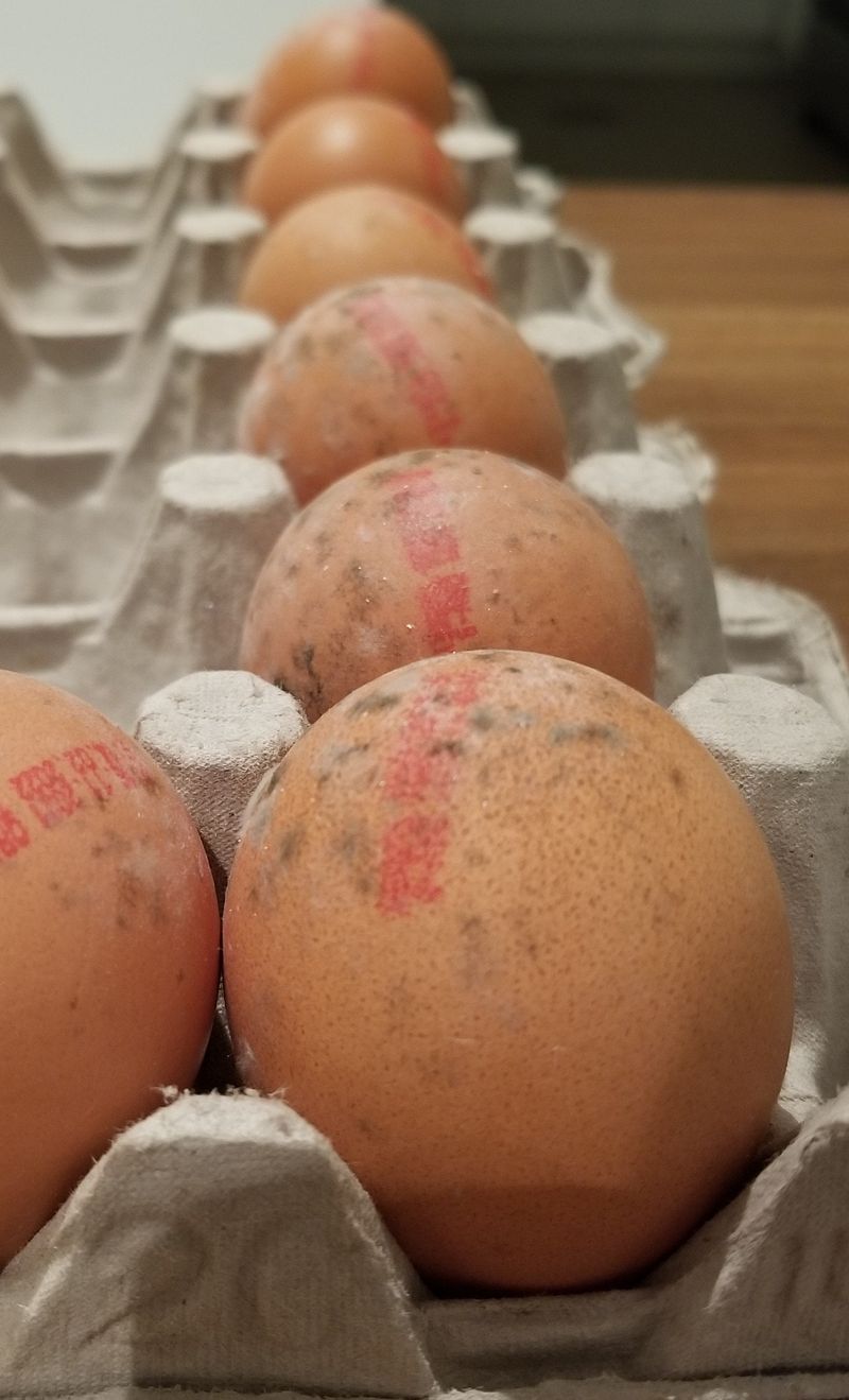 Powdery or slimy shell