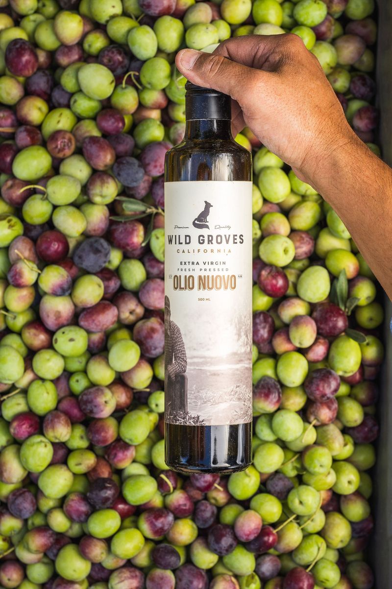 Fresh 'New Season' Extra Virgin