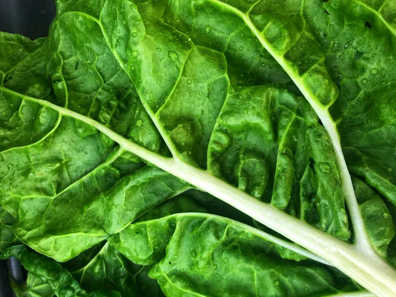 Leafy Greens (Spinach, Kale)