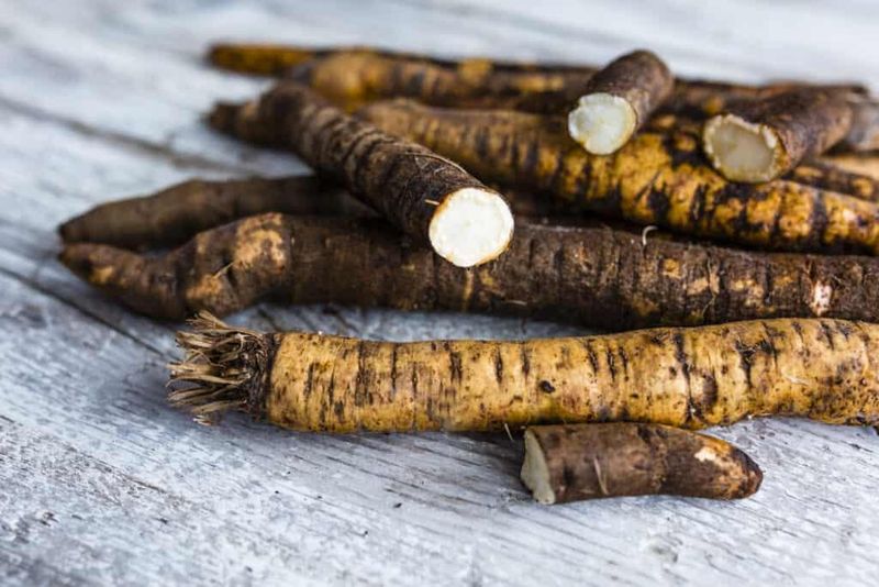 Salsify (Oyster Plant)