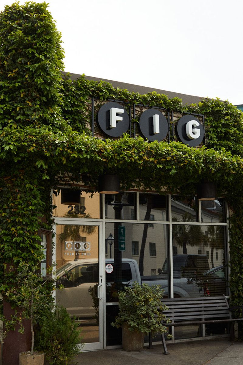 FIG - South Carolina