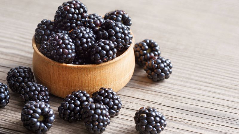 Blackberries