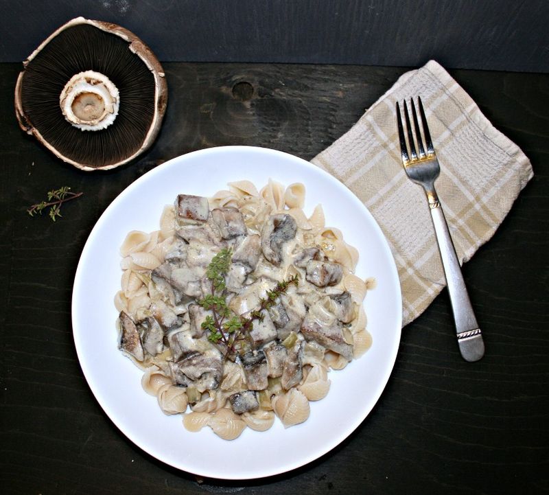 Portobello Mushroom Stroganoff