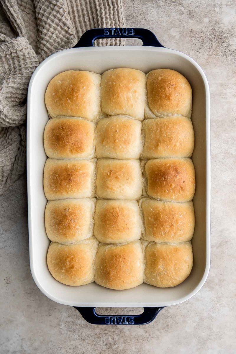 Mashed Potato Dinner Rolls
