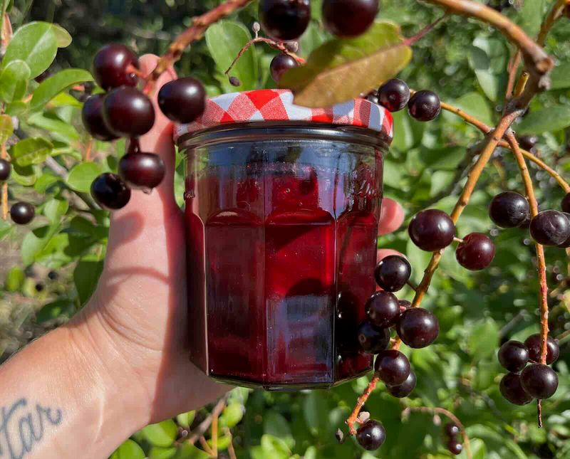 Chokecherry Syrup Or Chokecherry Jelly