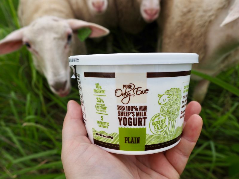 Plain Sheep Milk Yogurt