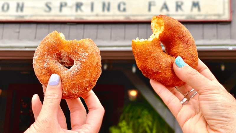 Apple cider donuts