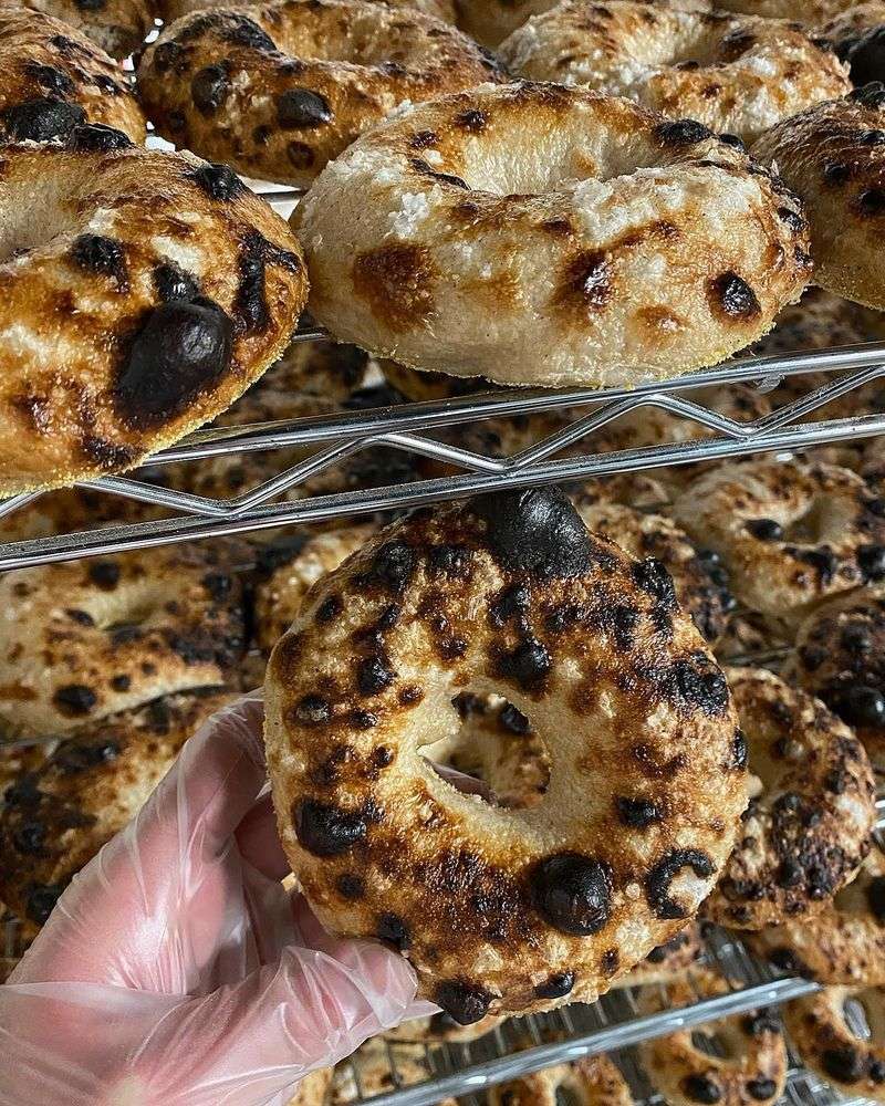 Pine Tree Bagel Co. - Maine