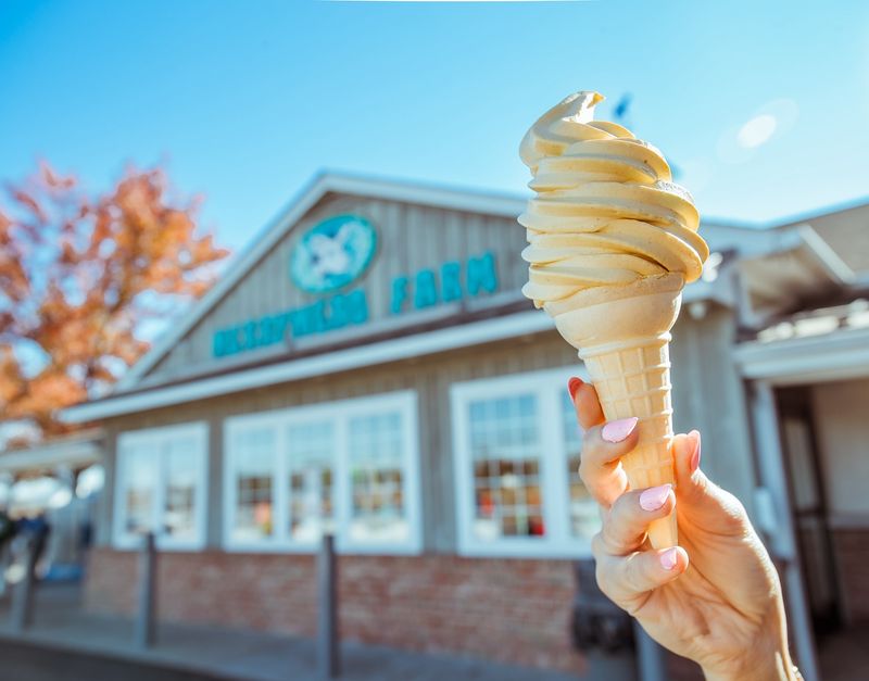 Merrymead Farm: Dairy Fresh Delights in Lansdale