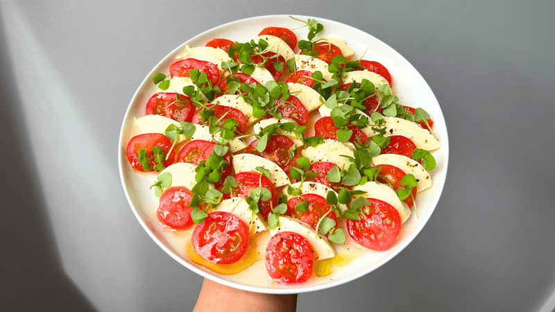 Tomato and mozzarella plate (mini caprese)