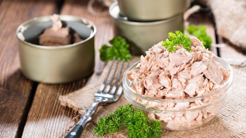 Canned Tuna or Salmon