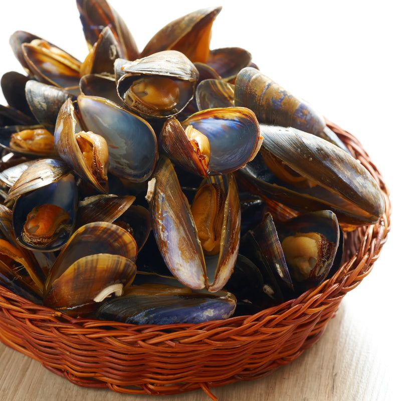Shellfish (Oysters and Mussels)