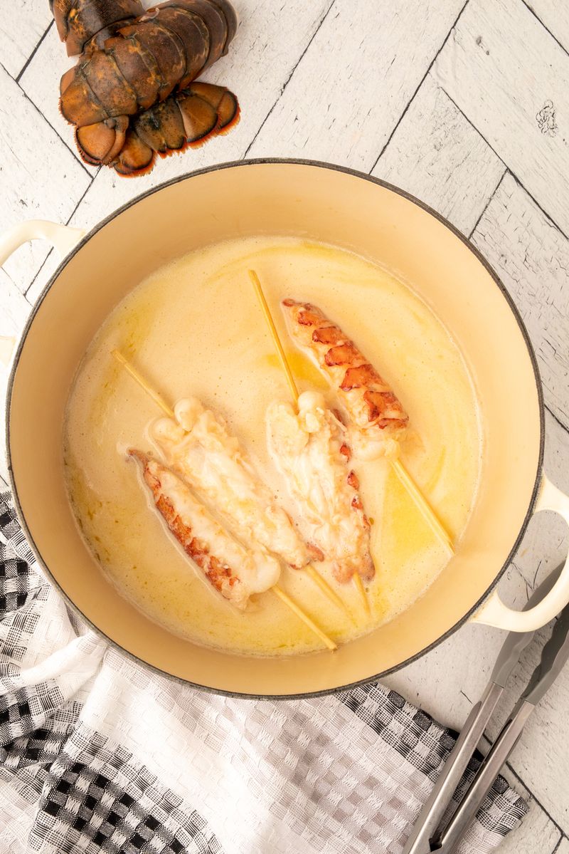 New Zealand rock lobster (Jasus edwardsii)