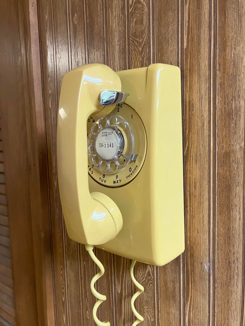 Telephone calls were ignored during dinner