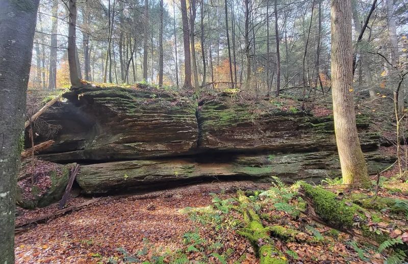 Hemlock, Fern and Creekside Meadows Loop &ndash; Clear Creek Metro Park, Near Rockbridge