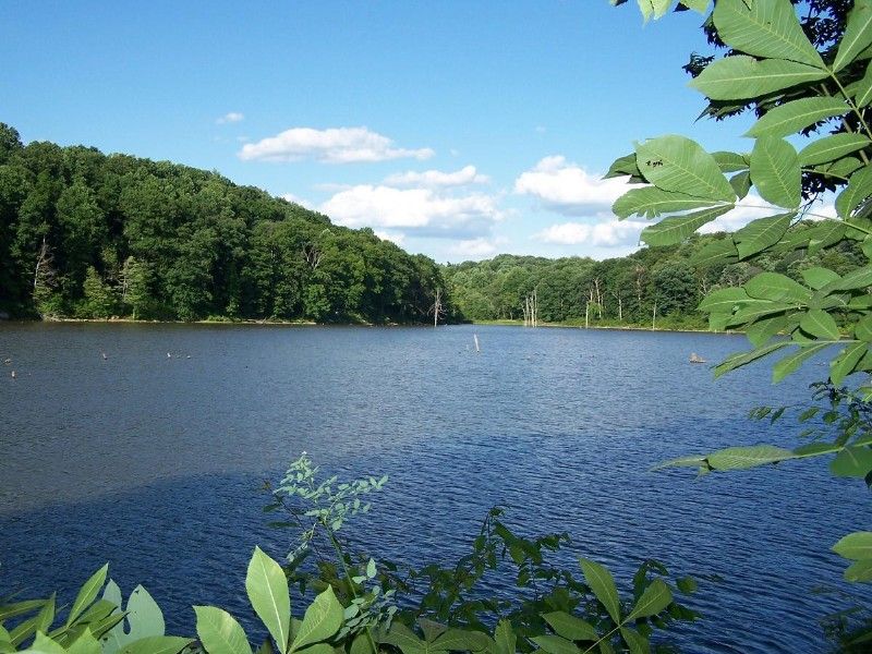 Salt Fork State Park