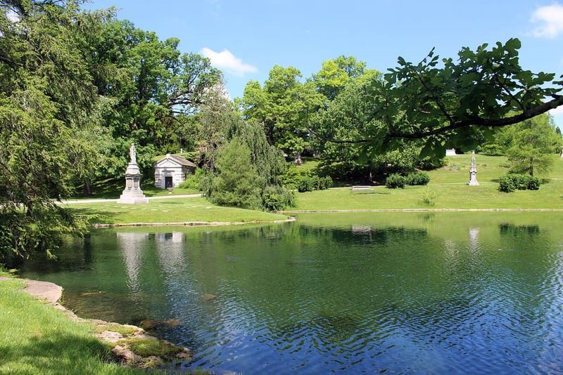 Burchfiel Grove And Arboretum, Sevierville