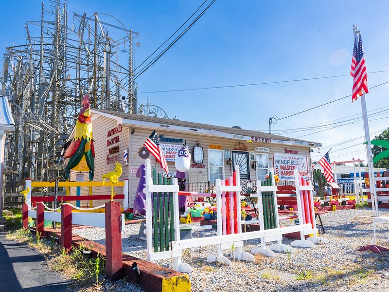 The Mindfield, Brownsville