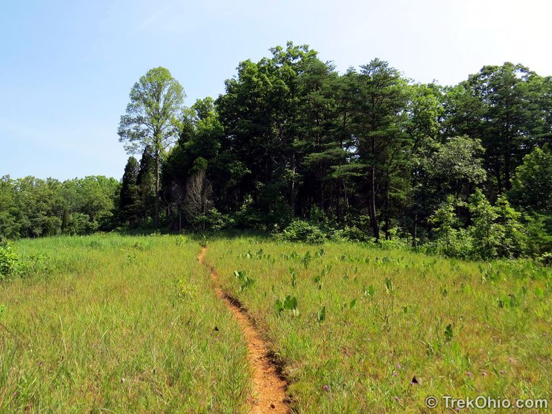 Lynx Prairie Loop &ndash; Edge of Appalachia Preserve, Near Lynx