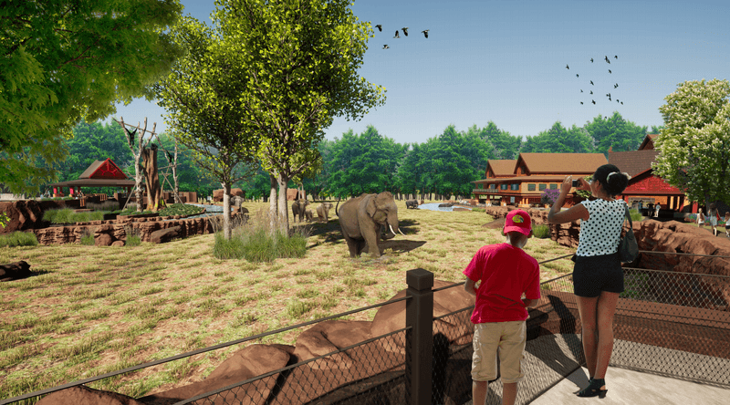 Beyond Elephants: Neighbors
