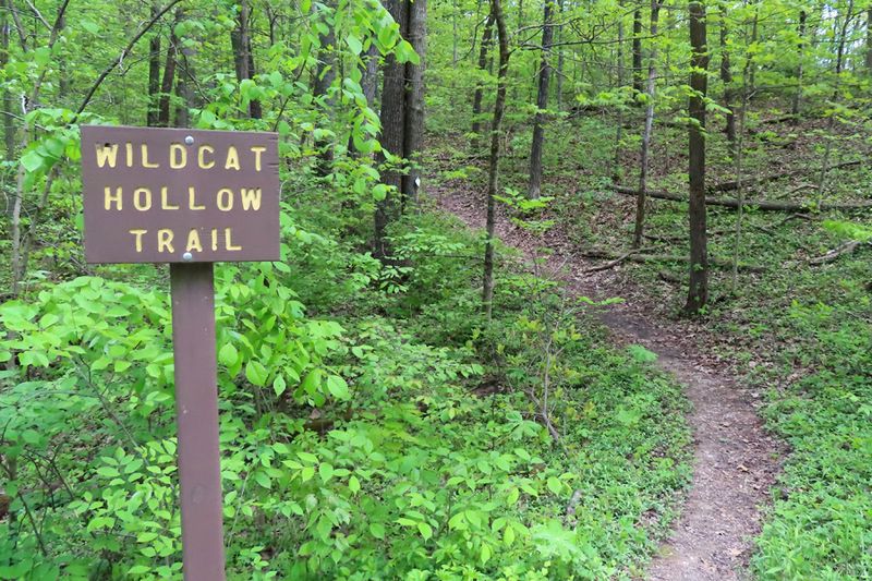 Wildcat Hollow Trail &ndash; Wayne National Forest, Near Corning