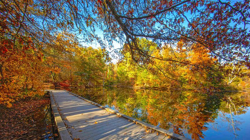 Cincinnati Nature Center, Rowe Woods, Milford, Ohio