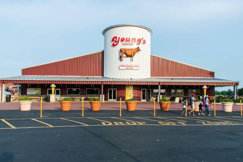 Young&rsquo;s Jersey Dairy (Yellow Springs)
