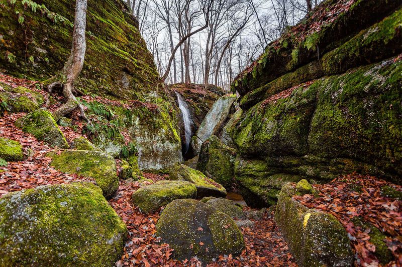 Nelson-Kennedy Ledges State Park (Garrettsville)