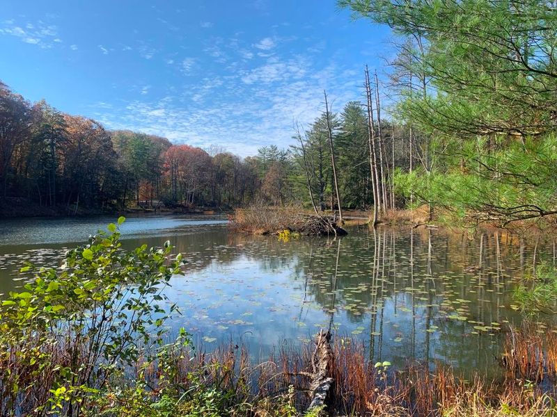 Wahkeena Nature Preserve, Sugar Grove, OH
