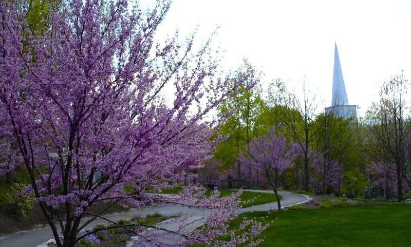 Unwind at Jimmy Neil Smith Park