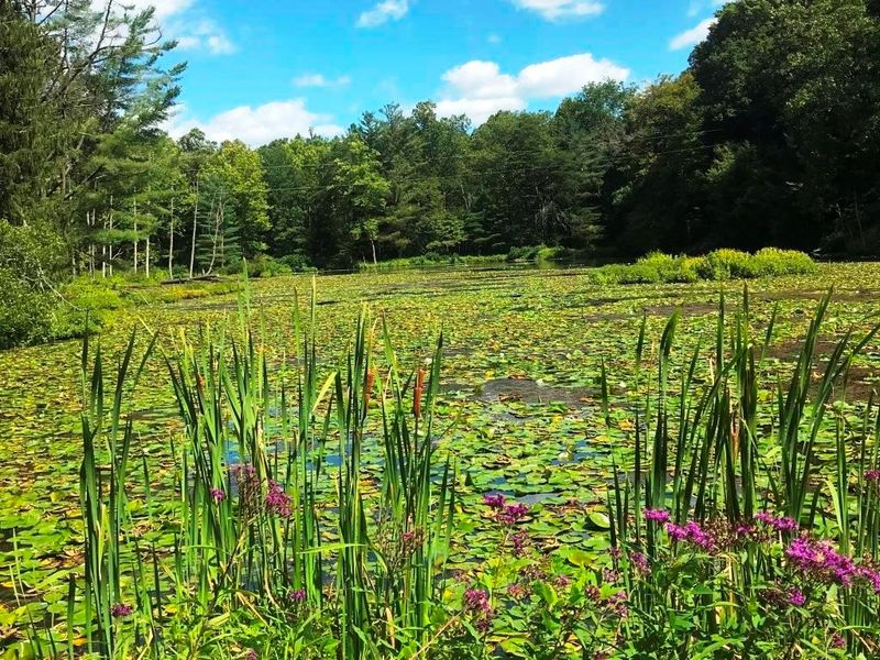 Wahkeena Nature Preserve, Sugar Grove, Ohio