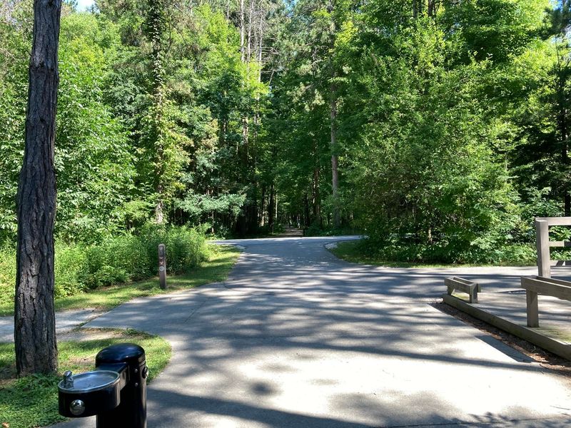 Oak Openings Preserve Metropark, Whitehouse, Ohio