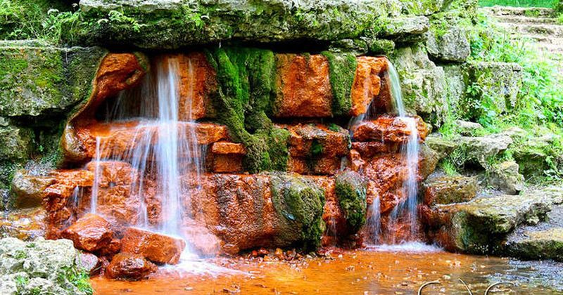 The Yellow Spring at Glen Helen