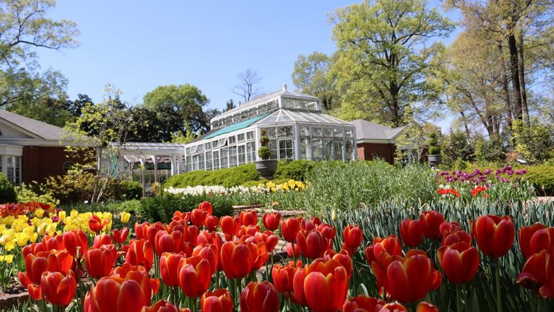 Dixon Gallery And Gardens, Memphis
